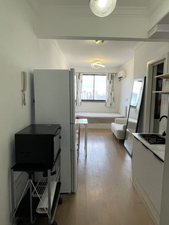 28F 1Br Newly Renovated Studio 2 Stops from People Square (Line 8)