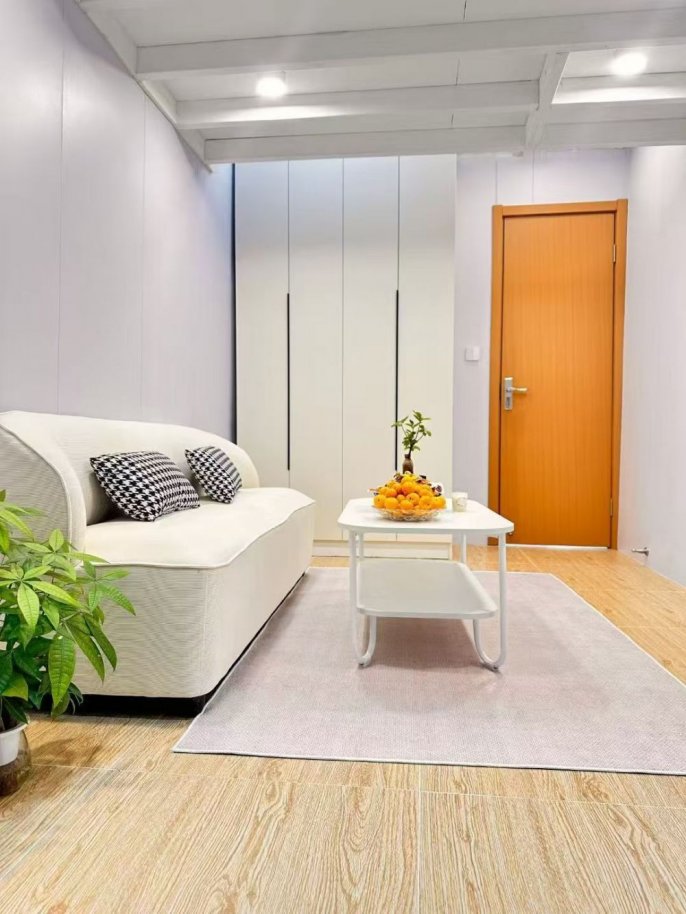 Cozy loft with skylight window 4.3k